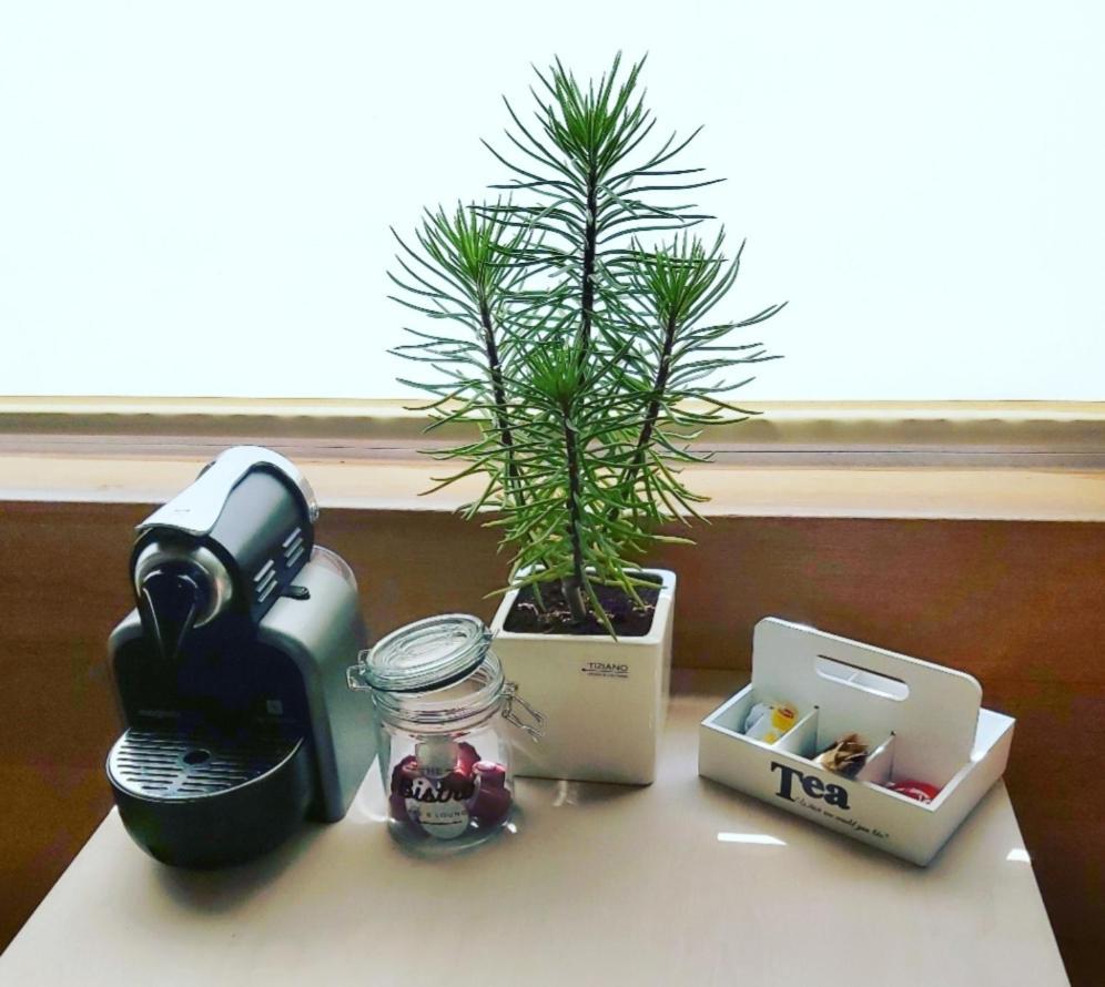 De Linderd Bed & Breakfast Aalst Dış mekan fotoğraf